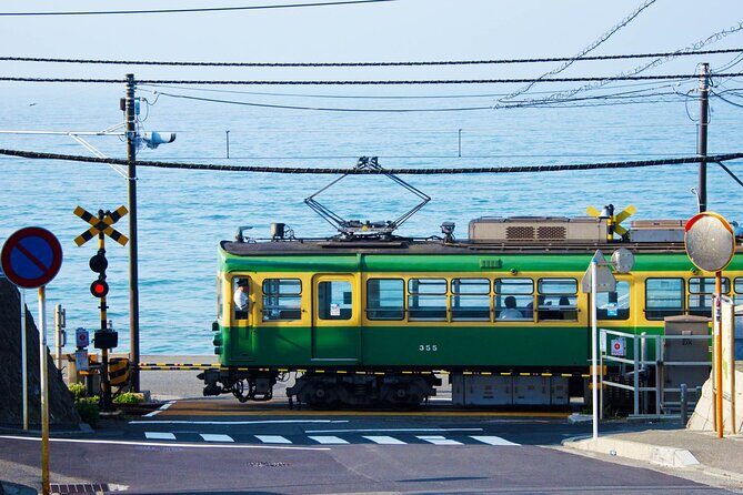 Kamakura Full Day Tour: Kotoku-in & Enoshima & Hachimangu Shrine - Key Points