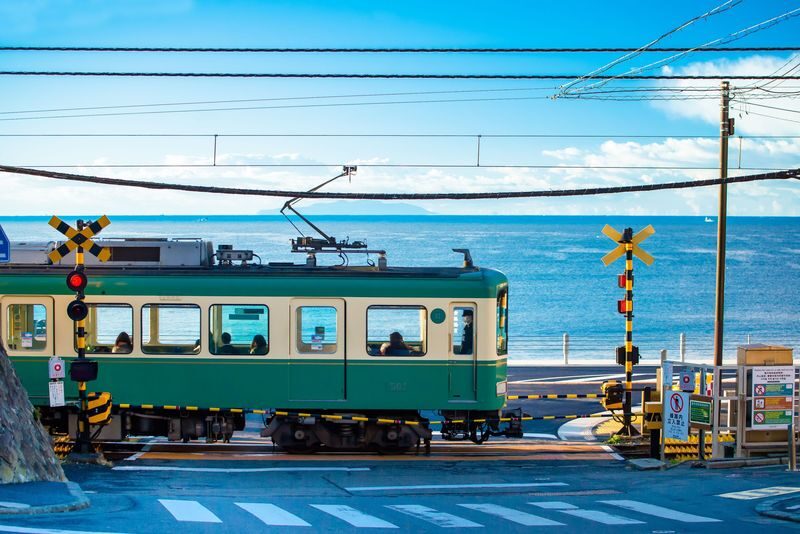 Kamakura Great Buddha & Hakone Shrine Transfer & Private Car Day Tour - Two historic stops, one long drive