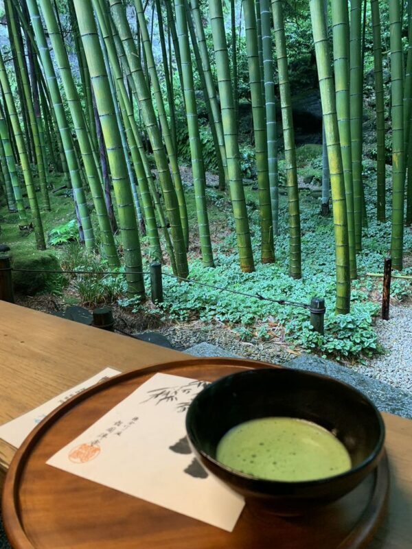 Kamakura Great Buddha & Hakone Shrine Transfer & Private Car Day Tour - What a private car changes