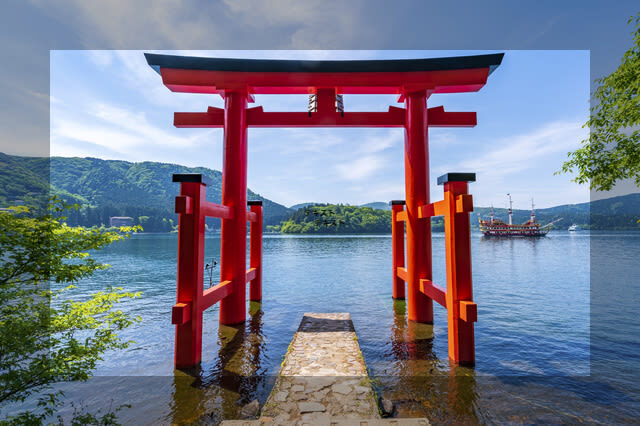 Kamakura Great Buddha & Hakone Shrine Transfer & Private Car Day Tour - Driver communication and vehicle choice