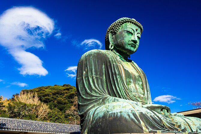 Kamakura Great Buddha, Temple, Shrine Private Day Tour from Tokyo - Key Points