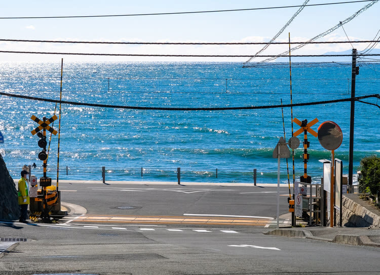 Kamakura Great Buddha & Tsurugaoka Hachimangu Shrine & Enoshima & Kamakura High School One Day Tour | Depart from Tokyo - What to know before you book