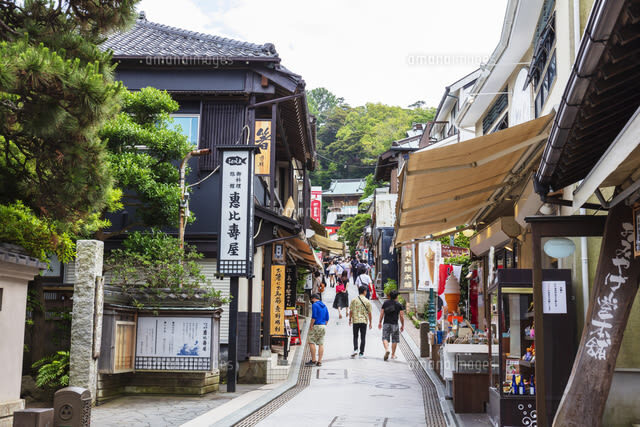 Kamakura Great Buddha & Tsurugaoka Hachimangu Shrine & Enoshima & Kamakura High School One Day Tour | Depart from Tokyo - The Great Buddha at Kotoku-in