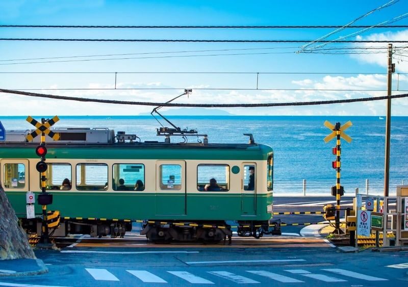 Kamakura Great Buddha & Tsurugaoka Hachimangu Shrine & Enoshima & Kamakura High School One Day Tour | Depart from Tokyo - Tsurugaoka Hachimangu and Komachi Street