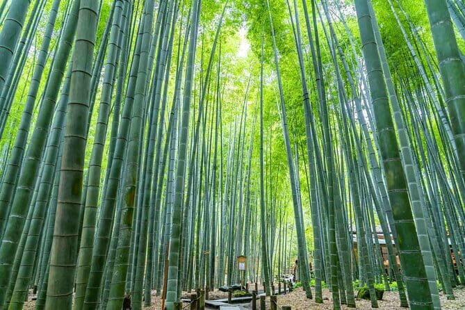 Kamakura Heritage Bike or Walk Tour with ex-Rickshaw guide - The Sum Up
