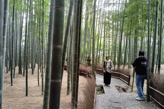 Kamakura Hidden Gems and Sacred Sites Private Tour - Who Will Love This Tour?