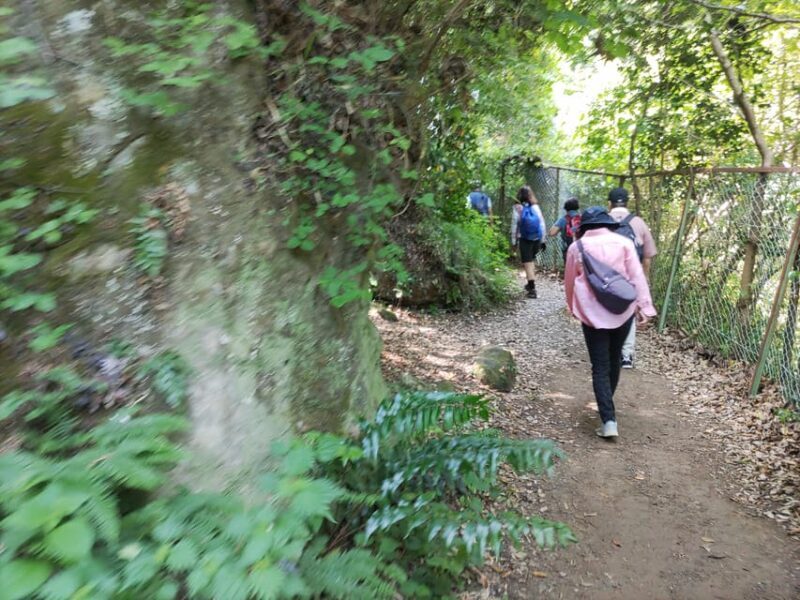 Kamakura: Hiking with Private Guide in Spanish - Frequently Asked Questions