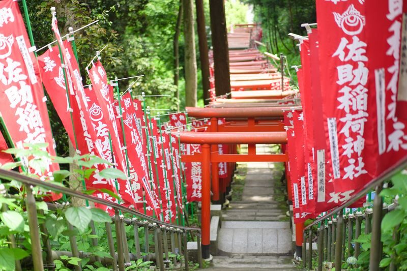 Kamakura Historical Walking Tour with the Great Buddha - Practical details for a smoother walk