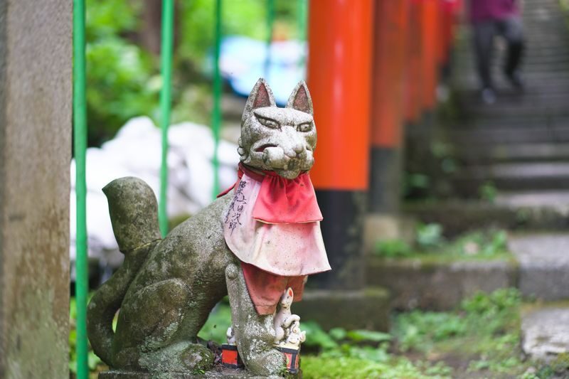 Kamakura Historical Walking Tour with the Great Buddha - Should you book this Kamakura walk?