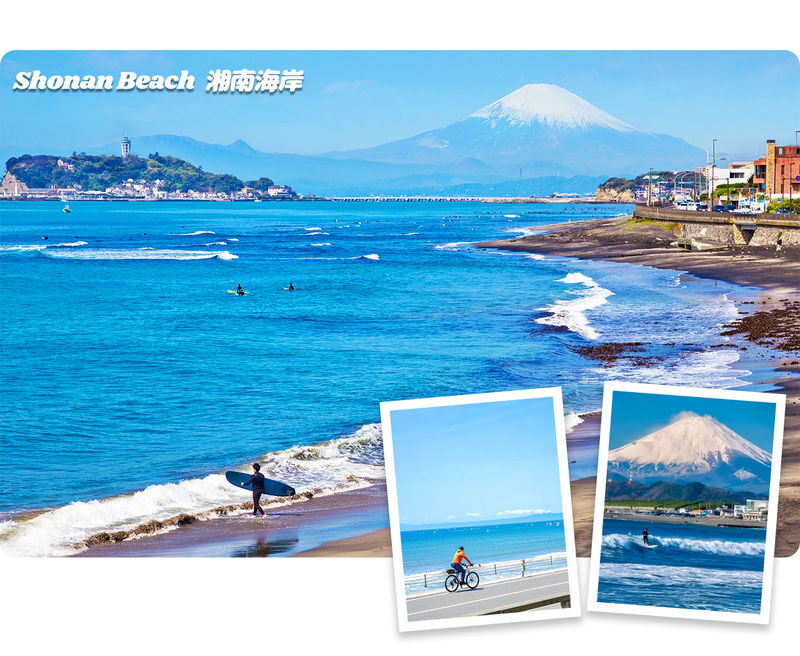 Kamakura | Kamakura Daibutsu & Tsurugaoka Hachimangu & Enoshima Benzaiten Nakamise-dori & Kamakura High School One-Day Tour | Departing from Tokyo - Enoshima: island paths, Benzaiten and sea air