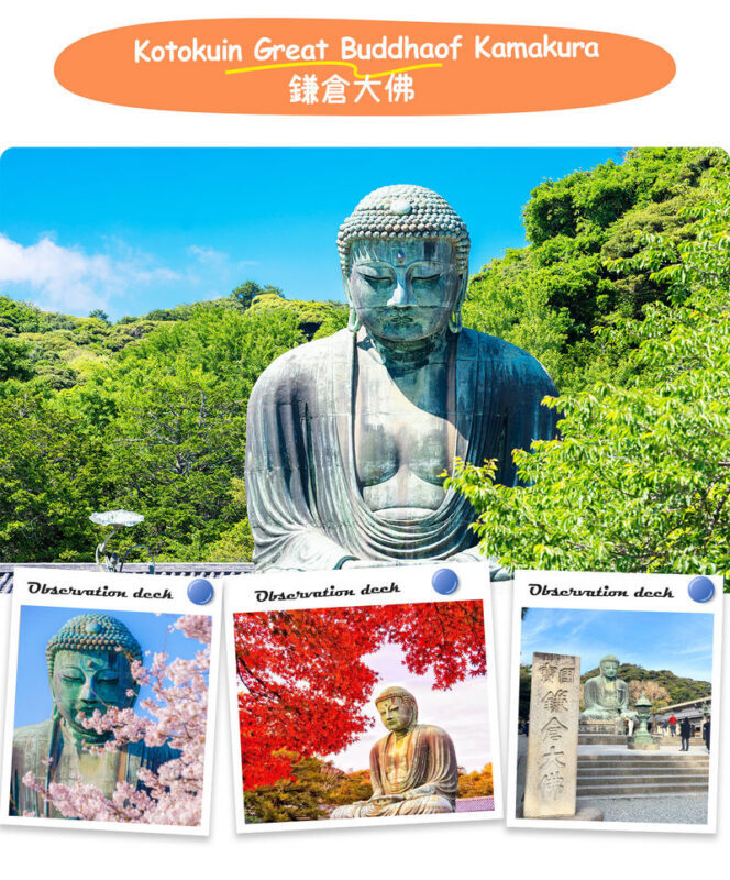Kamakura | Kamakura Daibutsu & Tsurugaoka Hachimangu & Enoshima Benzaiten Nakamise-dori & Kamakura High School One-Day Tour | Departing from Tokyo - Tsurugaoka Hachimangu and Komachi Street