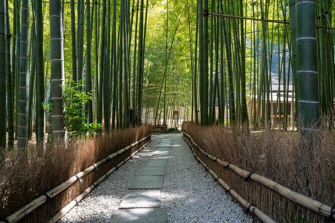 Kamakura Old Capital E-Bike Tour - Who Will Love This Tour?