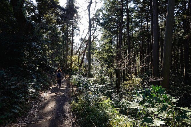 Kamakura One Day Hike Tour with Government-Licensed Guide - Exploring Kamakura: A City of Temples, Trails, and Timeless Charm