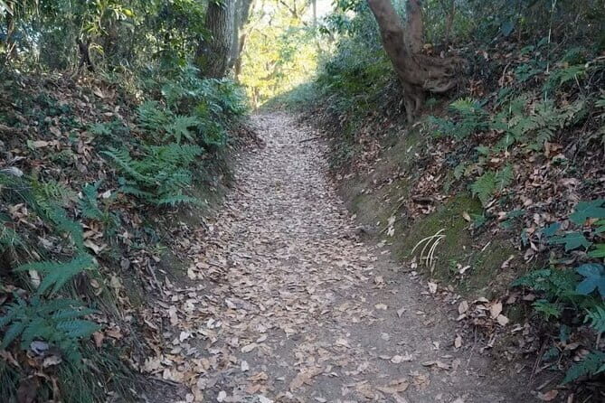 Kamakura Private Cultural and Historical Hiking Tour - Key Points