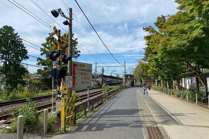 Kamakura Private Cultural and Historical Hiking Tour - A Deep Dive into the Kamakura Hiking and Cultural Tour