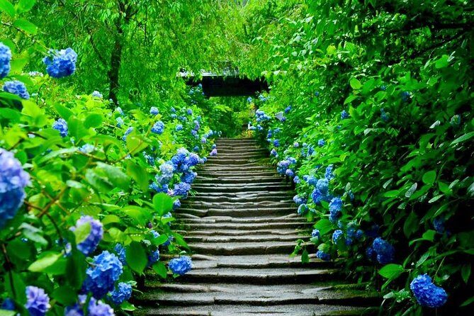 Kamakura Private Custom Tour - Who Is This Tour Best For?