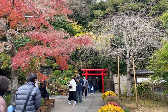 Kamakura Private Custom Tour: Great Buddha, Temples & Coast - FAQ