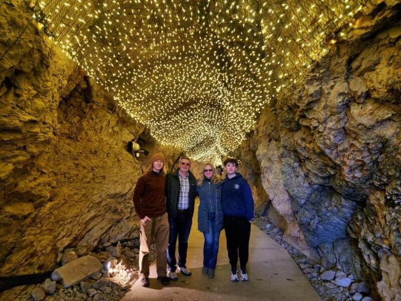 Kamakura Private & Customizable Tour - All-in-One Experience - Key Points