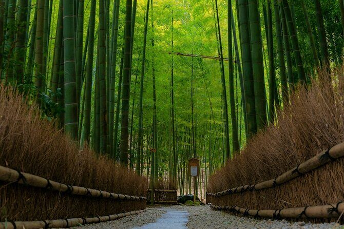Kamakura Samurai Legends Shrines and the Great Buddha - Key Points