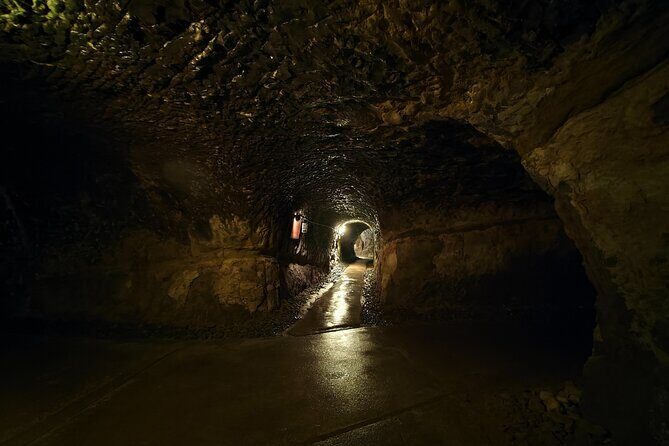 Kamakura Samurai Legends Shrines and the Great Buddha - Authentic Insights and Traveler Experiences