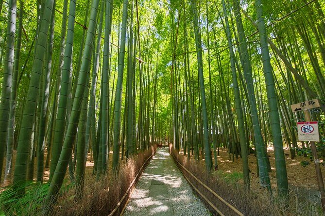 Kamakura Samurai Legends Shrines and the Great Buddha - Why This Tour Offers Great Value