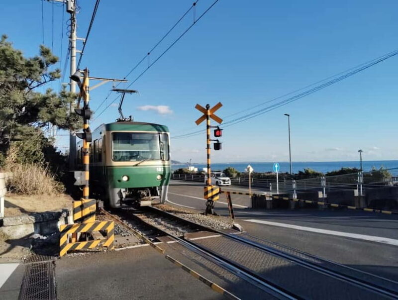 Kamakura: Temples, Shrines & Buddha Walking Tour - Key Points