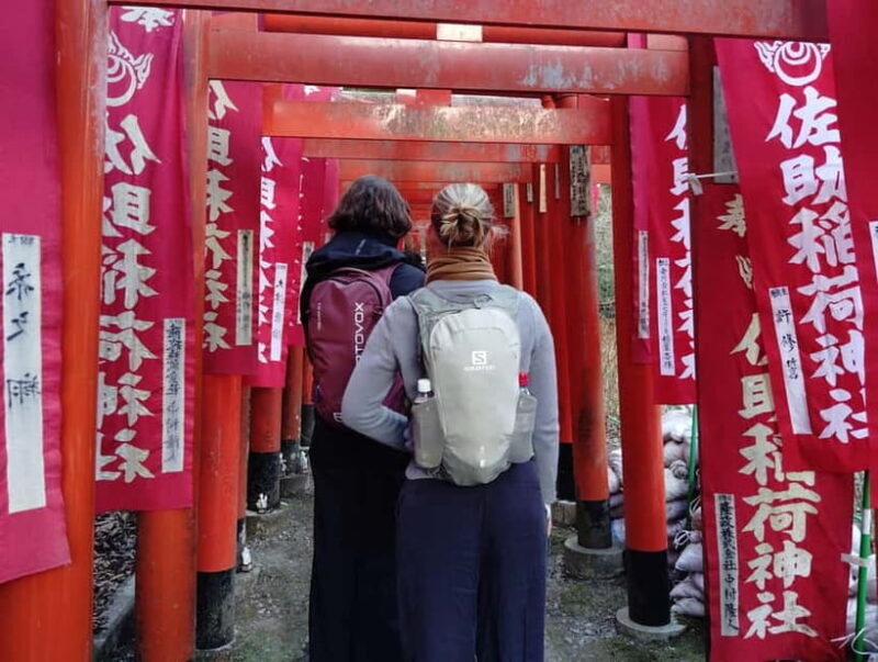 Kamakura: Temples, Shrines & Buddha Walking Tour - Who Would Love This Tour?