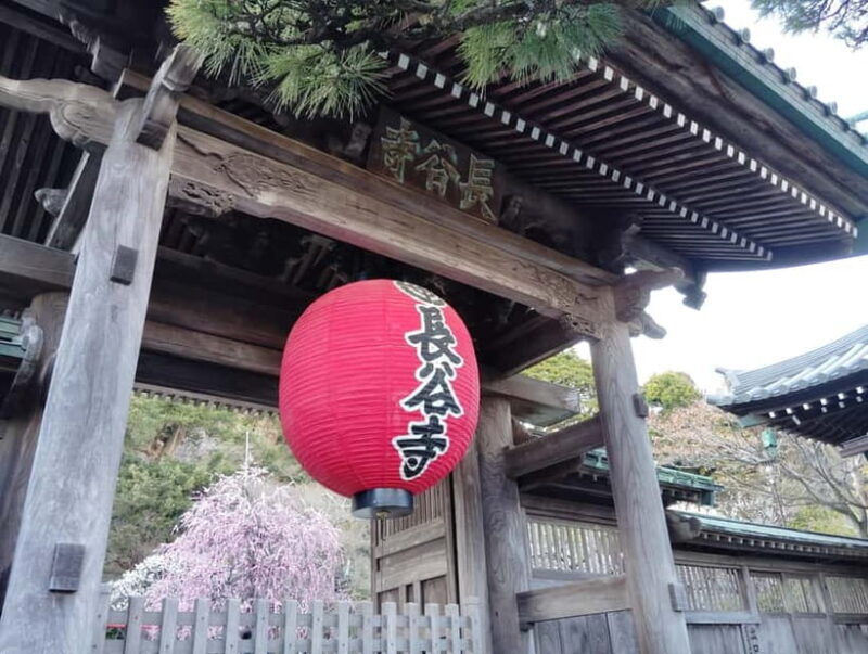 Kamakura: Temples, Shrines & Buddha Walking Tour - FAQ