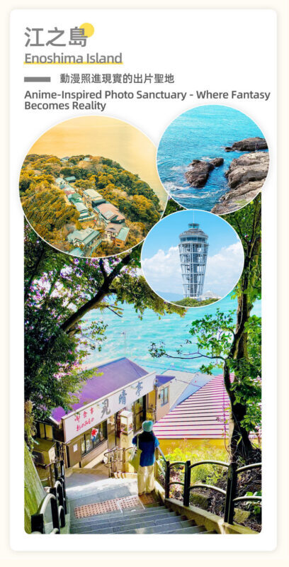 Kamakura | Tram Experience: Kamakura Great Buddha & Kamakura Tram Experience & Kamakura High School & Enoshima & Tsurugaoka Hachimangu Shrine & Komachi Street Tokyo-Kamakura Day Trip (From Tokyo) - Who will get the most from this Kamakura day trip?