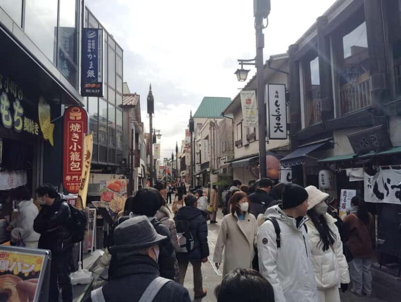 Kamakura: Tsurugaoka Hachimangu & Komachi Street Tour - The Practical Side: What You Need to Know