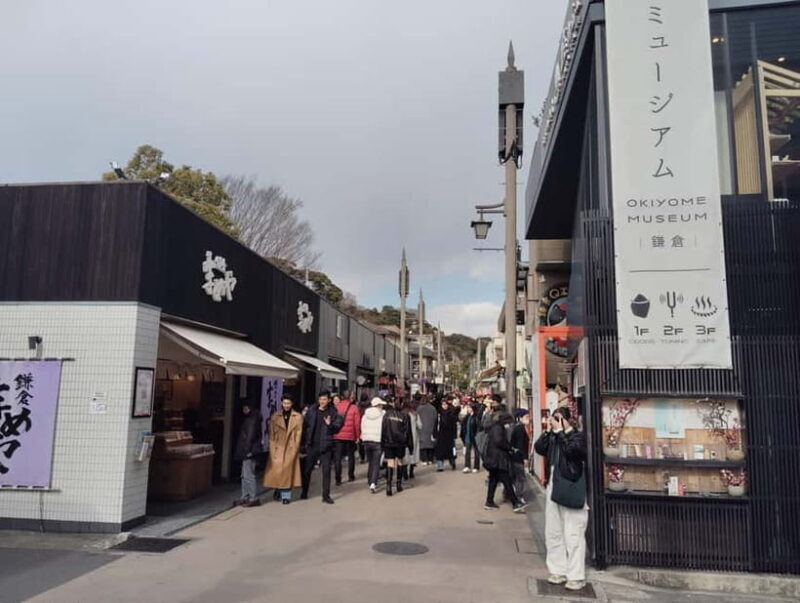 Kamakura: Tsurugaoka Hachimangu & Komachi Street Tour - Who Would Benefit Most?