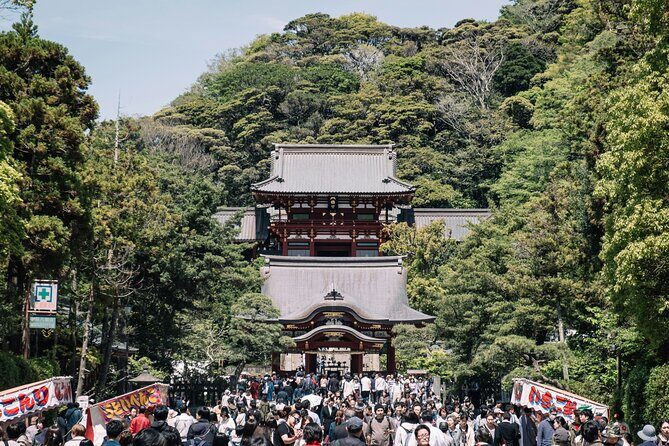 Kamakura Vibes & Enoshima Sights Day Tour - A Deep Dive into the Kamakura & Enoshima Day Tour