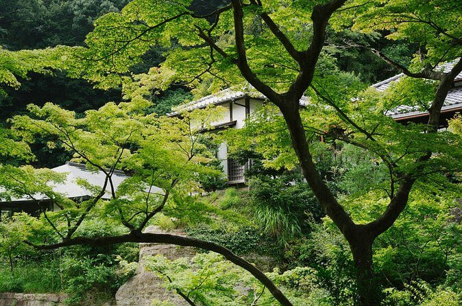 Kamakura Vibes & Enoshima Sights Day Tour - FAQs