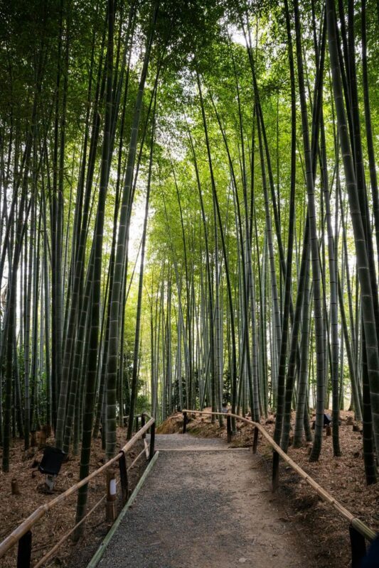 Kamakura & Yokohama Full-Day Private Guided Tour - Should you book the Kamakura and Yokohama tour?