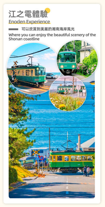 Kamakura & Yokohama | Includes Train Experience: Enoshima & Kamakura High School & Tsurugaoka Hachimangu Shrine & Yokohama Night View Day Trip (From Tokyo) - Who should book this Kamakura and Yokohama day trip?