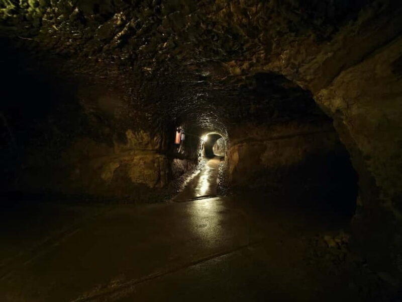 Kamakura Zen: Great Buddha, Nature, Bamboo & Samurai Culture - Who Should Consider This Tour?