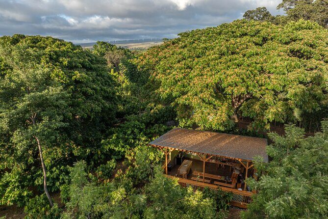 Kamananui Cacao Orchard Tour - Frequently Asked Questions