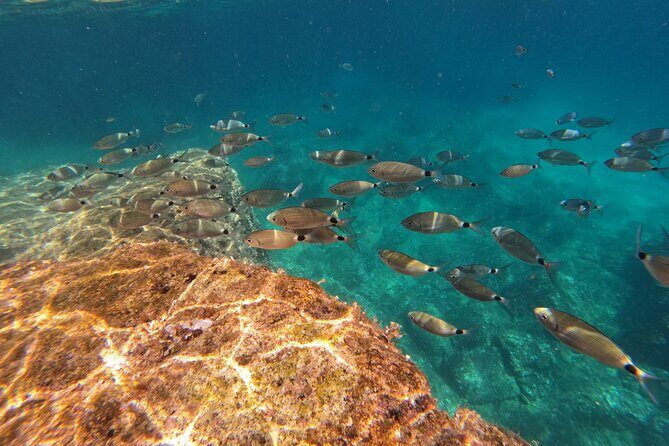 Kamenjak Nature Park: Kayak Tour with Snorkeling & Cave Exploring - Frequently Asked Questions