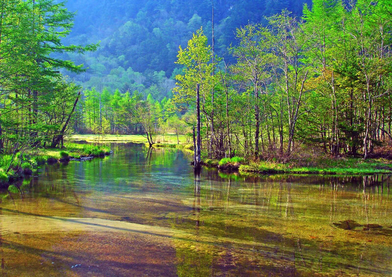 Kamikochi Full-Day Secret Hiking Experience - What the free time means for your visit