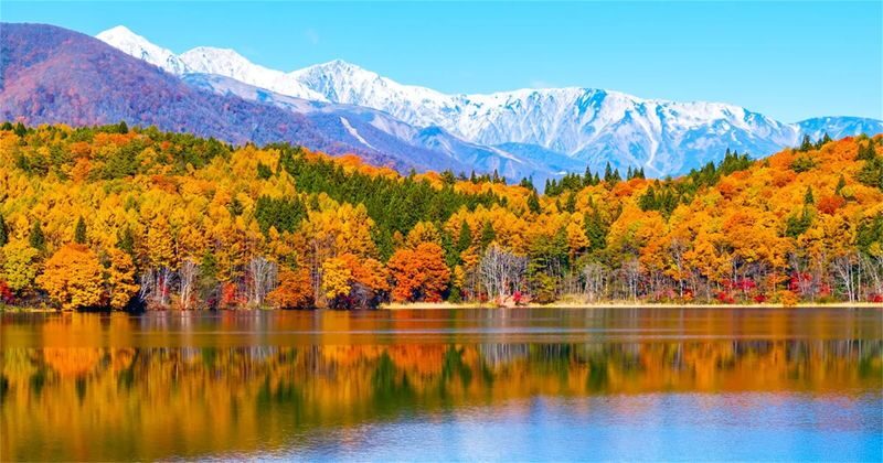 Kamikochi & Kappa Bridge Full-Day Alpine Route Hiking - A day trip built around Kamikochi