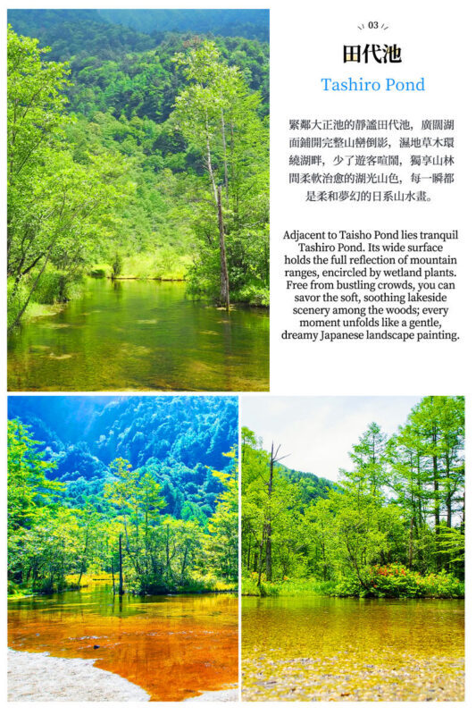 Kamikochi Light Hiking Day Trip: Taisho Pond & Kappa Bridge & Northern Alps Scenery (Departing from Nagoya) - What the guide does, and what you should handle