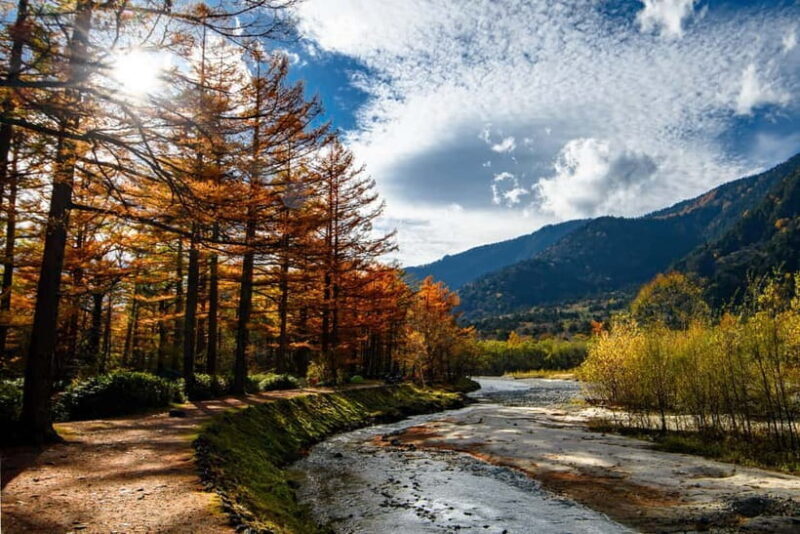Kamikochi & Matsumoto Castle: Nature & Heritage Day Tour - Who Would Enjoy This Tour?