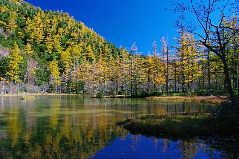 Kamikochi & Shirakawa-go & Hida Takayama & Gujo Hachiman Old Town 2-Day Tour (Departing from Nagoya/Includes Accommodation + Breakfast) - Day two: choose your Kamikochi walk