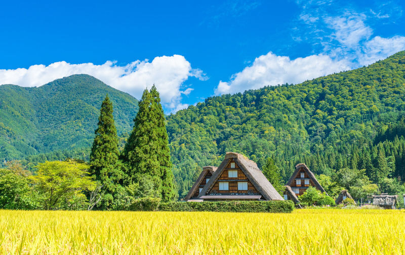 Kamikochi & Shirakawa-go & Hida Takayama & Gujo Hachiman Old Town 2-Day Tour (Departing from Nagoya/Includes Accommodation + Breakfast) - Practical details to settle before booking