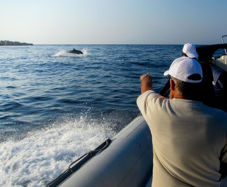Kamiros Skala: Marine Life Experience by Boat - A Full Review: Exploring Greece’s Marine World in Comfort and Curiosity
