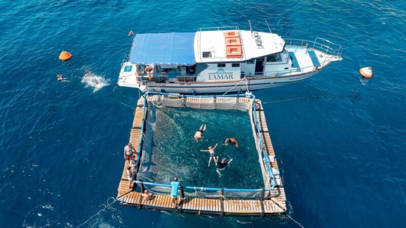 Kamiros Skala: Marine Life Experience by Boat - What’s Included and Practical Tips