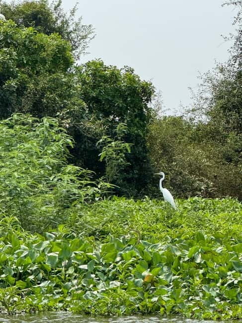 Kampong Phluk Floating Village & Tonle Sap Boat Tour. - Exploring Kampong Phluk & Tonle Sap: A Detailed Review
