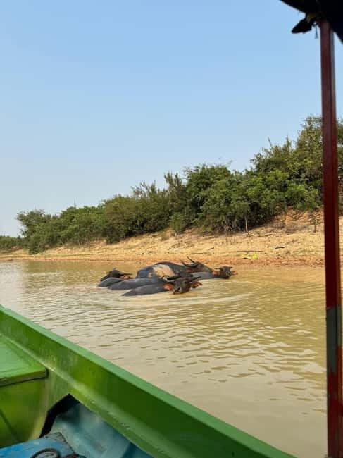 Kampong Phluk Floating Village & Tonle Sap Boat Tour. - Who Should Consider This Tour?
