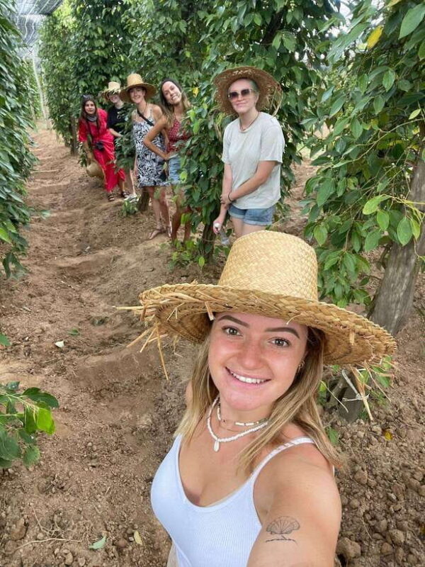 Kampot, Kep, Paper Farm, Old French Architectures - Discovering Kampot and Kep: An In-Depth Review