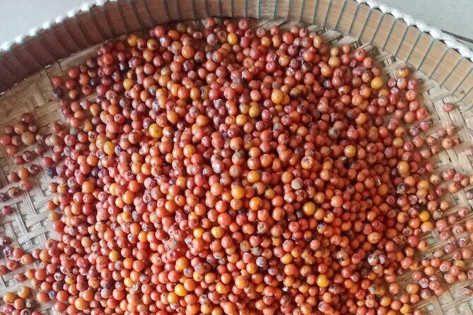 KAMPOT- Pepper farm .Cave . Secret Lake & salt fields - What We Love About This Tour